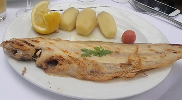 Dil Balığı Türleri ve Özellikleri